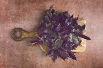 Fresh bouquet of purple basil, top view, on a brown background