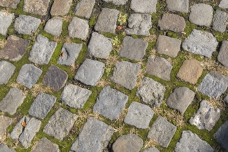 Cobblestone, texture, background, Münsterland, North Rhine-Westphalia, Germany, Europe