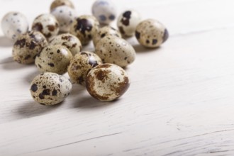 Raw quail eggs on a white wooden background. with copy space