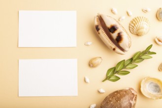 Composition of white paper business cards, seashells, green boxwood. mockup on orange background.