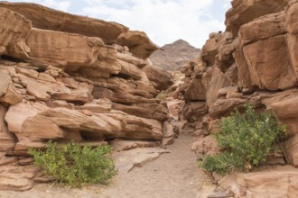 Colored canyon with red rocks. Egypt, desert, the Sinai Peninsula, Nuweiba, Dahab