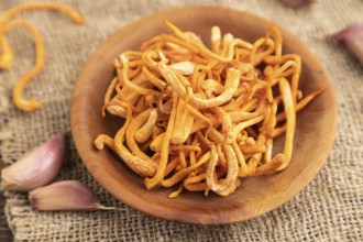 Fresh Cordyceps militaris mushrooms on brown wooden background with microgreen, herbs and spices.