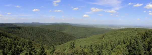 Panorama of the Palatinate Forest