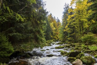 Kochel, river in the Giant Mountains, Poland, Europe