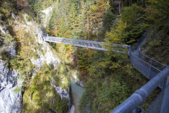 Leutaschklamm gorge in the border forest between Tyrol and Bavaria