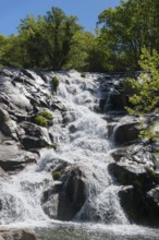 Wild water flows over staggered rocks in the middle of a green forest on a bright summer day,