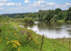 Natural landscape on the Weser Rinteln Germany