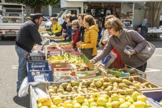 Women buy fruit and vegetables at market stall in Policoro, Matera District, Basilicata, Italy,