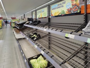 Empty vegetable section in supermarket, Witten, Ruhr area, North Rhine-Westphalia, Germany, Europe