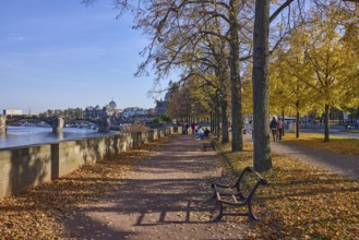 Footpath, Elbe, river, trees, light-flooded autumn foliage, wall, Augustus Bridge, pedestrians as