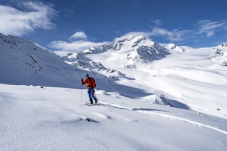 Ski tourers in a snow-covered mountain landscape, mountain peak Monte Cevedale and glacier