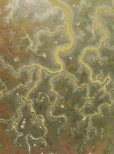 Network of channels and streams at low tide. In the marshland of the Piedras River. Aerial view.