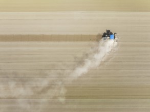 Tractor at field work. Aerial view. Drone shot. Cádiz province, Andalusia, Spain, Europe