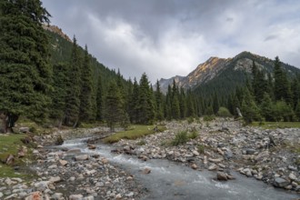 Green mountain valley with forest and mountain stream, Chong Kyzyl Suu Valley, Terskey Ala Too,