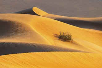 Details of the sand dunes in the Rub Al Khali desert, the world's largest sand desert, Empty