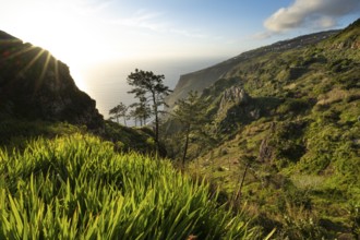 Evening mood, green coastal landscape on a steep cliff, sea and coast, viewpoint Miradouro da