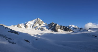 High alpine mountain landscape, summit of the Aiguille de Chardonnet and Glacier du Tour, glaciers