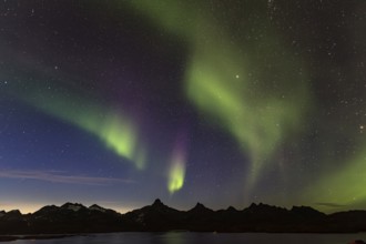 Northern Lights, Aurora borealis over a fjord with steep mountains, autumn, Tasiilaq, East