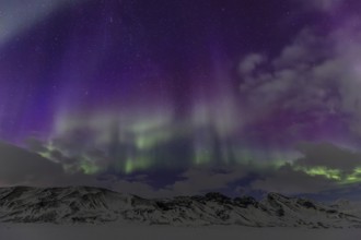 Green and purple northern lights, aurora borealis over snowy mountains, volcanic, winter, moon,