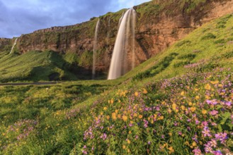 Waterfall on a steep slope, flower meadow, summer, evening light, midnight sun, long exposure,