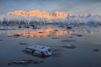 Morning light, mountains, snowy, reflection, sea, coast, fjord, winter, Lyngen Alps, Norway, Europe