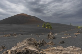 Chinyero volcano, Arena Negras zone, Teide National Park, Tenerife, Canary Islands, Spain, Europe