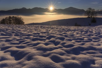 Sunrise over a snow-covered mountain landscape, Großweil, Alpine foothills, Upper Bavaria, Bavaria,