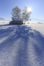 Trees and hut, long shadows, sunbeams, backlight, snow, winter, fog, cold, mountains, Loisach-Lake