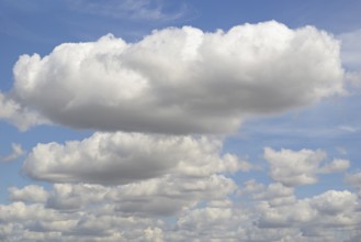 Cloud formation, blue sky with low-lying cumulus clouds, North Rhine-Westphalia, Germany, Europe