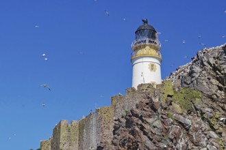 A lighthouse stands on steep cliffs, surrounded by gannets and a clear blue sky, in a sunny