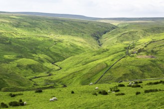 Farms over North Pennines, Cumbria, Durham, Northumberland, North Yorkshire, England, United