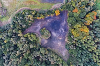 Mixed forest in autumn, colouring, aerial view, forest, autumnal, Ahlhroner Fischteiche,