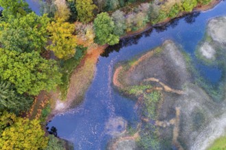 Mixed forest in autumn, colouring, aerial view, forest, autumnal, Ahlhroner Fischteiche,