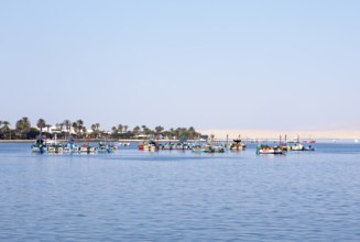 Colourful fishing boats in the bay of Paracas, Reserva Nacional de Paracas, Ica region, Pisco