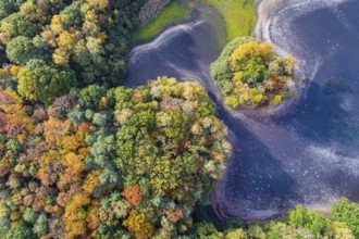 Mixed forest in autumn, colouring, aerial view, forest, autumnal, Ahlhorn fish ponds,