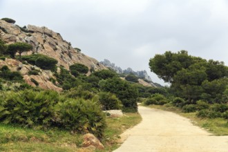 Hiking trail in the nature park, Parque Natural del Estrecho, Strait of Gibraltar, Costa de la Luz,