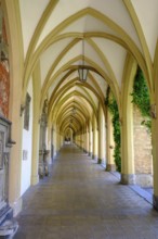 Arcades in the municipal park, former cemetery, Schwaz, Inntal, Tyrol, Austria, Europe