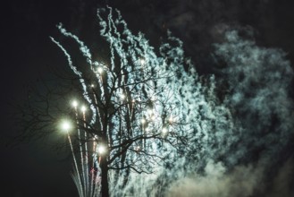 Tree fireworks