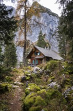 A hut in the mountains of the Gosaukamm. A path and rocks with moss. In the background a part of