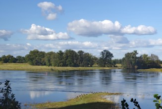 A calm river with trees on the banks, reflecting the blue sky and white clouds, Gartow, Elbe Lower