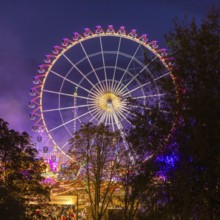 A large, brightly lit Ferris wheel with colourful lights against a night sky and surrounded by