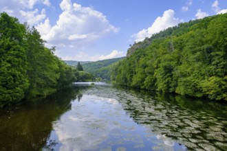 An der Thaya, river, Hardegg, Thaya valley, Thaya valley, border river, Weinviertel, Lower Austria,