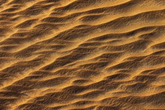 Wind-sculpted sand structure in the Rub al Khali desert, Dhofar province, Arabian Peninsula,