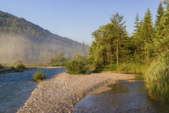 Isar valley nature conservancy area. The wild Isar river flows through its gravel bed past