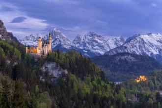 Neuschwanstein Castle near Füssen, Hohenschwangau Castle, Schwangau, Allgäu Alps, night shot,