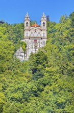 View of Bom Jesus do Monte santuary immersed in the greenery of the surrounding woods, Braga, Minho