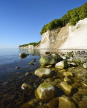 Keide coast with large stones and algae in the water of the Baltic Sea, Jasmund National Park,