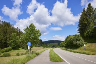 Cycle path, country road and blue sky with cumulus clouds in a landscape near Biederbach, Black