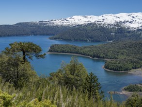 View from hiking trail Sierra Nevada, lake Conguillio, araucaria forest, Conguillio National Park,