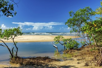 Meeting between the mangrove, river and sea at Sargi beach in Serra Grande on the south coast of